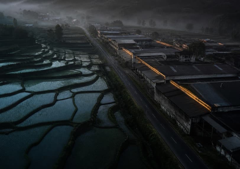 Aerial photograph at first light of inland Bali, looking down at the line where one permitted land use ends and another begins: flooded rice terraces on the left, a row of workshops and warehouses on the right, a single road running between them.