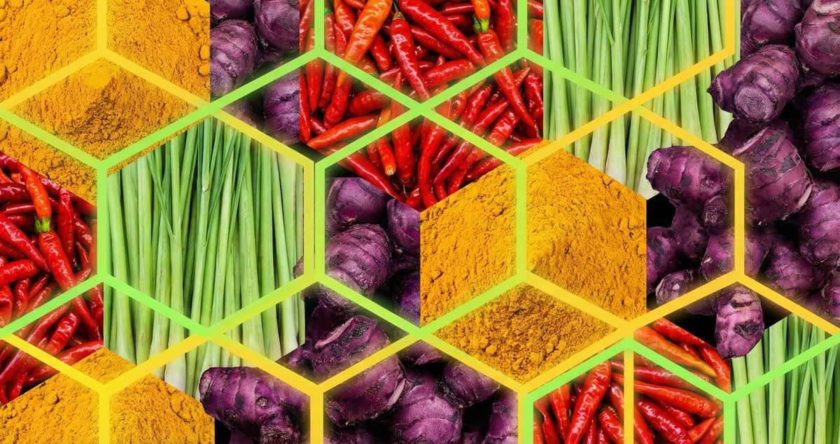 BPJPH Halal Certification Indonesia 2026: Which Businesses Need It, Process, Costs & Timeline