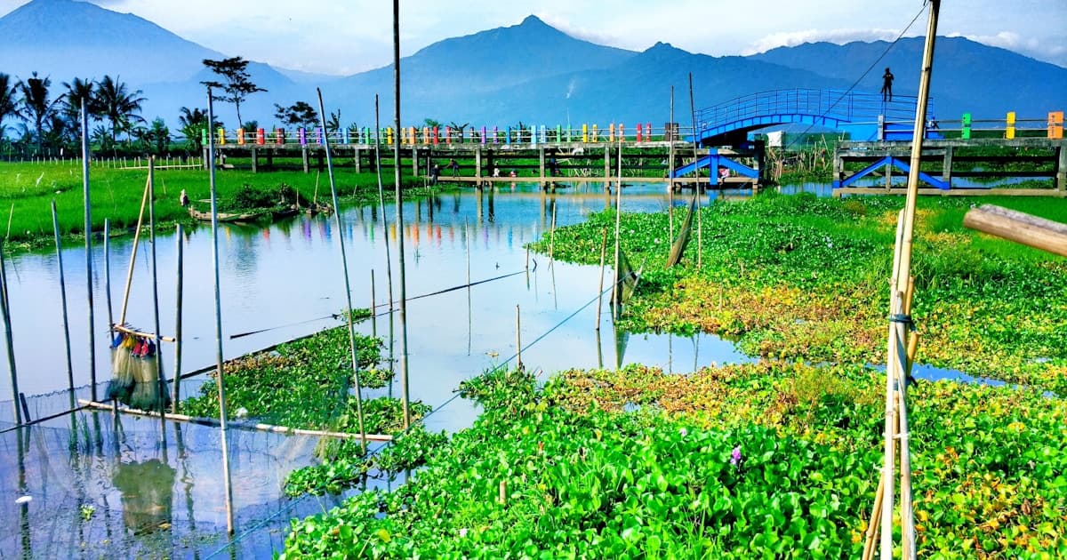 KBLI 2025 Agribusiness & Aquaculture in Bali: PT PMA Investment Guide 2026