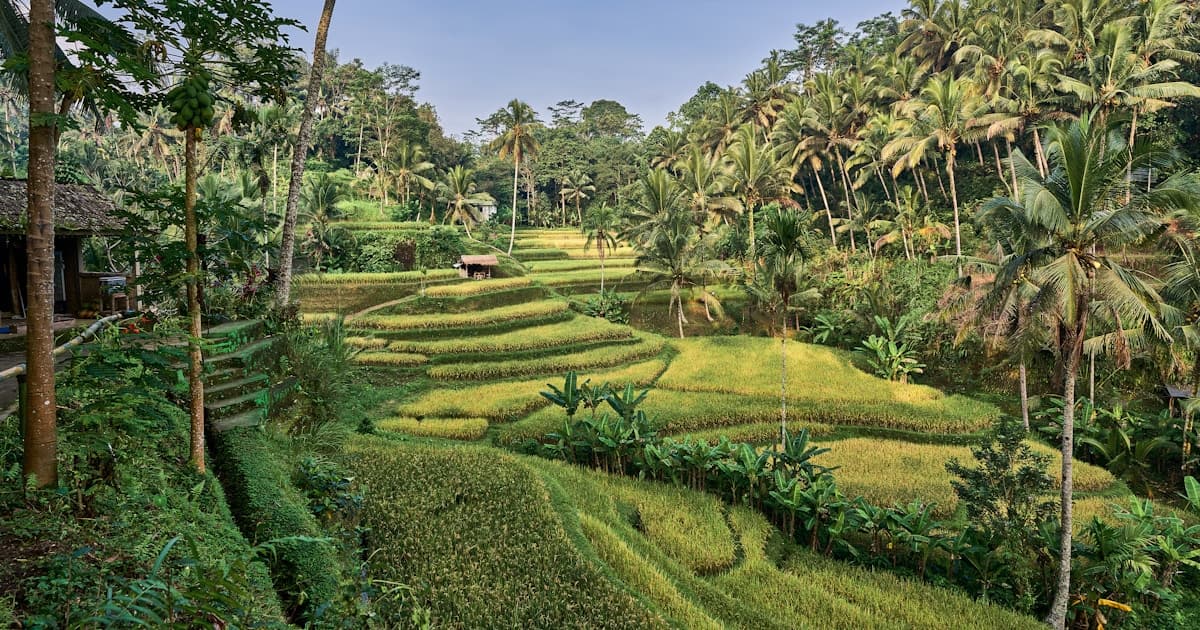 KBLI 2025 Agriculture & Agritourism: Farming, Plantation, and Eco-Tourism Business Codes