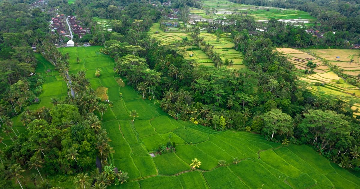 KBLI 2025 Environmental Permits: AMDAL, UKL-UPL, and SPPL Requirements by Business Code