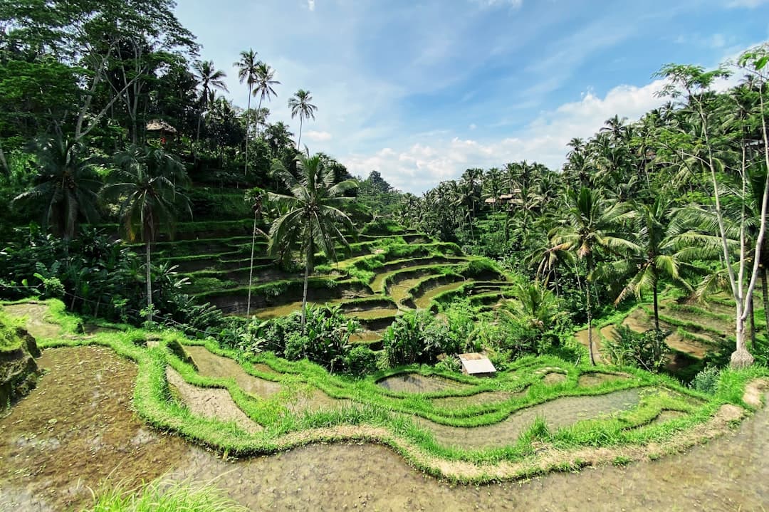 KBLI 2025 Location Restrictions: Bali Green Zone, Zoning Laws, and Where Your Business Can Operate